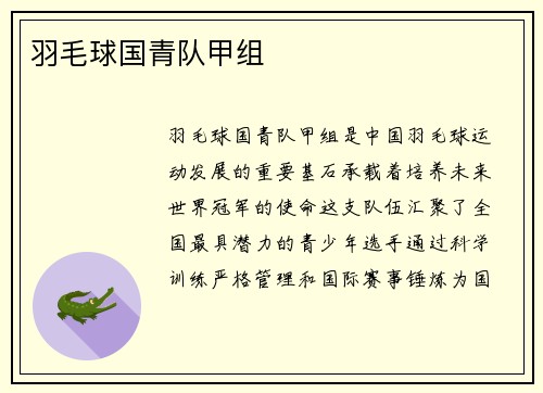 羽毛球国青队甲组